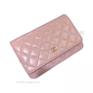 Chanel Flap WOC Lambskin With Gold HW Light Pink