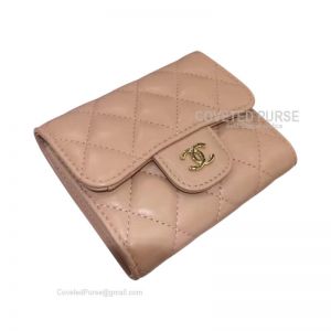 Chanel Classic Small Wallet In Apricot Lambskin With Shiny Gold HW