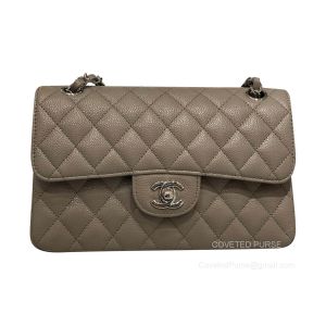 Chanel Small Elephant Ash Caviar Flap Handbag with SHW