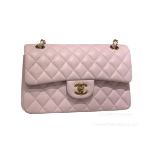 Chanel Small Light Pink Lambskin Flap Handbag with GHW